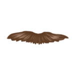 light brown B4-(6)