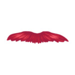 beard-2-(2)