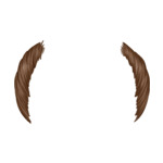 Brown hair-man-10-9